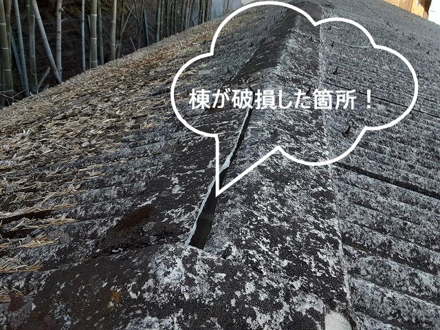 棟が破損した箇所